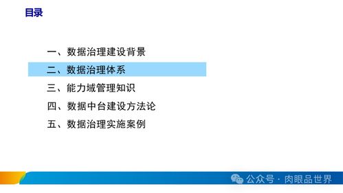 xx集團(tuán)數(shù)據(jù)治理體系建設(shè)方案 